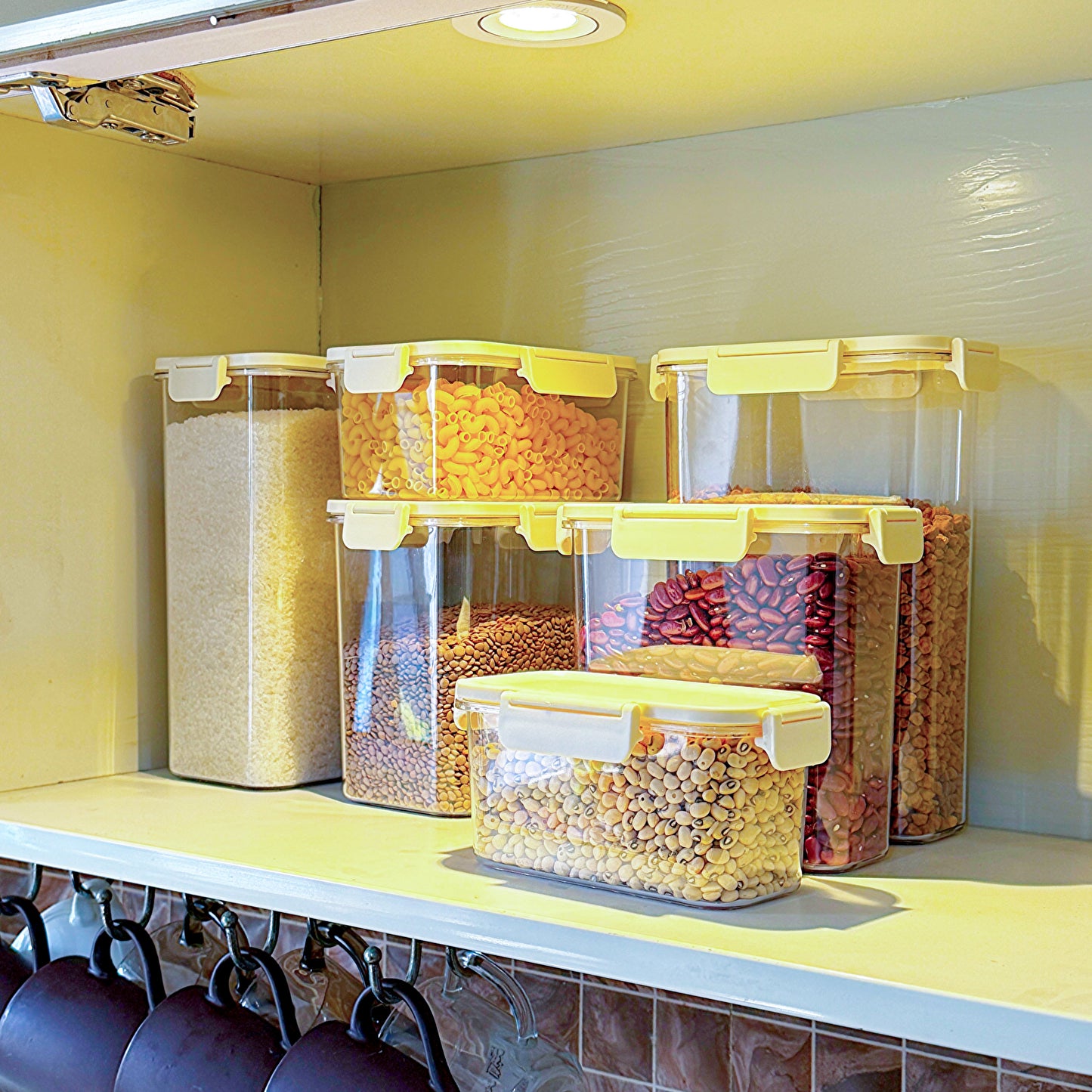 MoistureLock Multi-Shape Storage Canisters – Airtight & Space-Saving
